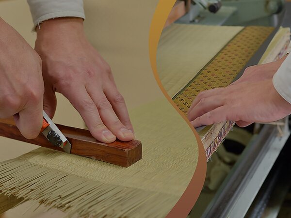 新しいホームページを立ち上げましたの画像